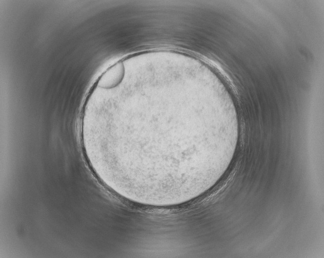 X0000115401424200912151511