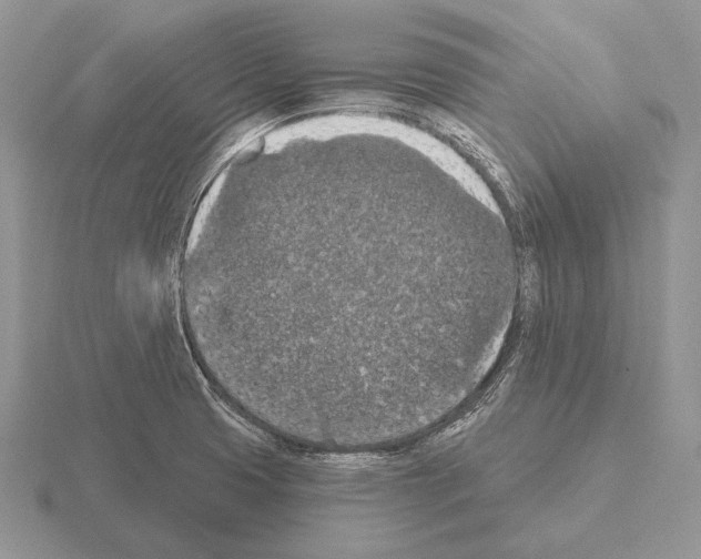 X0000115401425200912151511