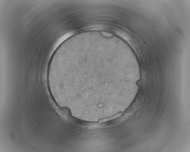 X0000115401426200912151511