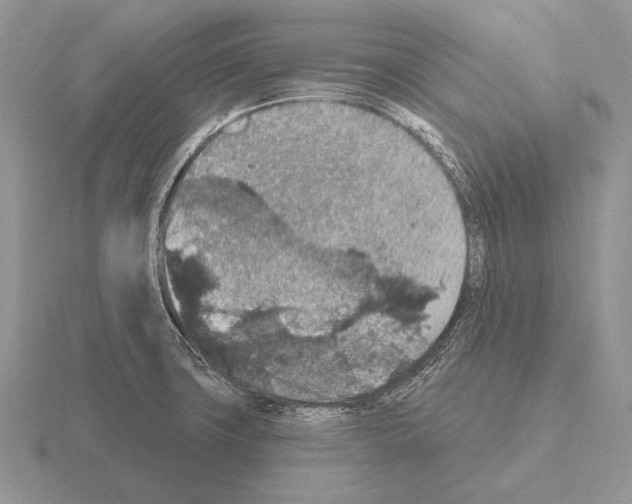 X0000115401427200912151511