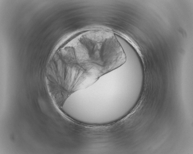 X0000115401429200912151511