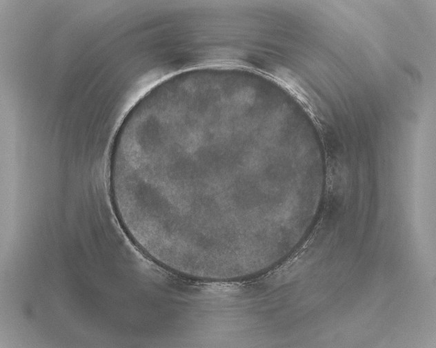 X0000115401430200912151511