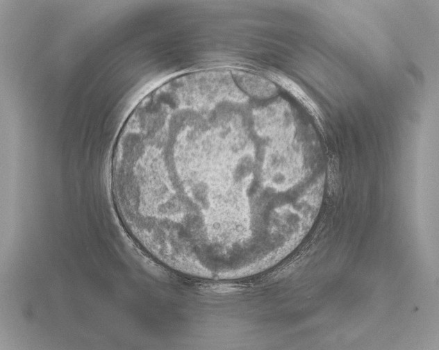 X0000115401431200912151512