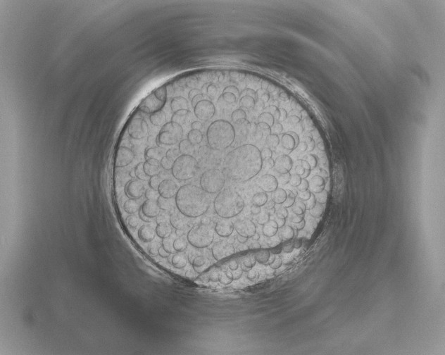 X0000115401432200912151512