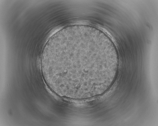 X0000115401433200912151512