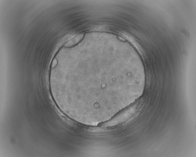 X0000115401434200912151512