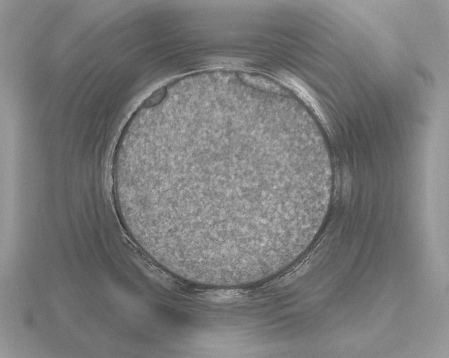 X0000115401435200912151512