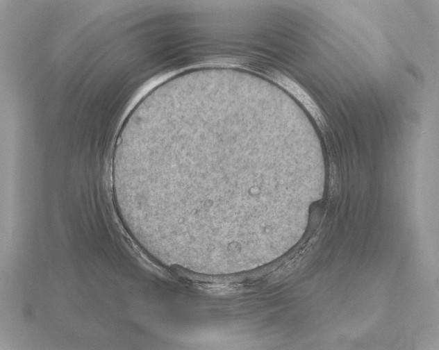 X0000115401436200912151512