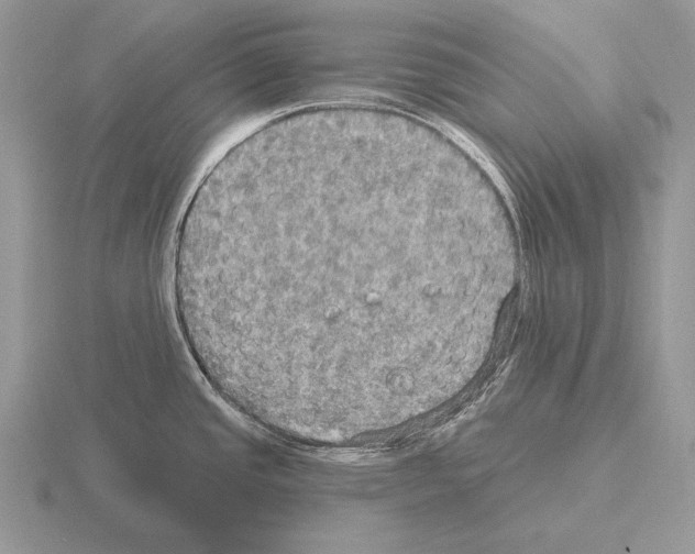 X0000115401437200912151512