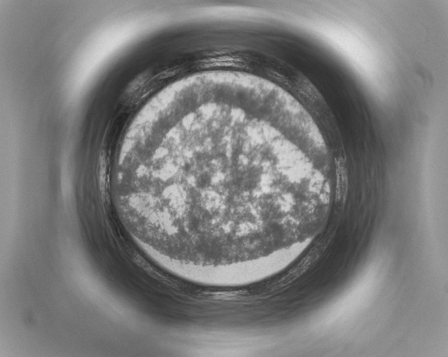 X0000115401438200912151512