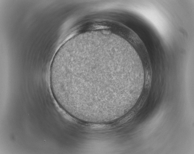 X0000115401439200912151512