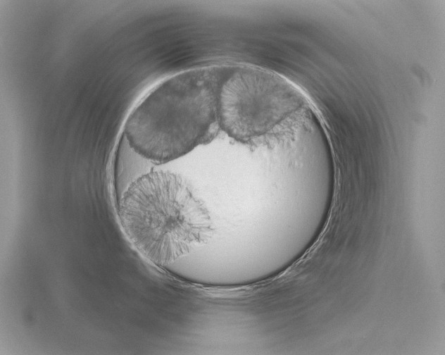 X0000115401440200912151512