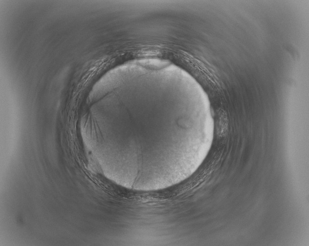 X0000115401441200912151511