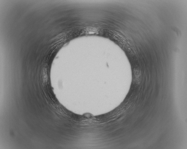 X0000115401442200912151511