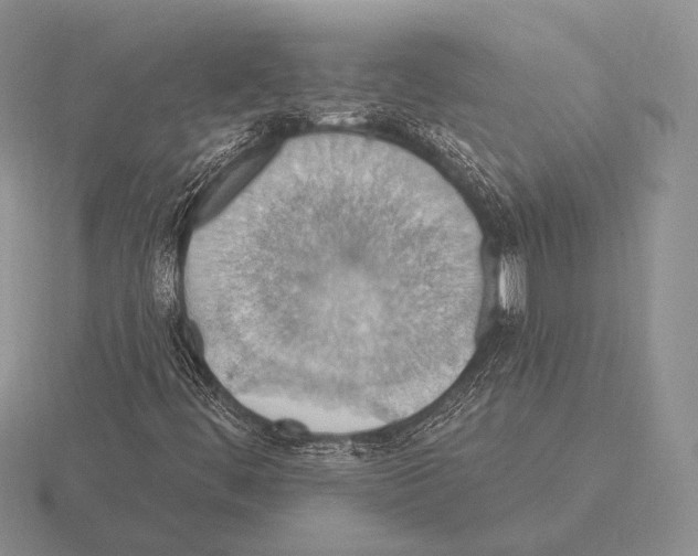 X0000115401444200912151511