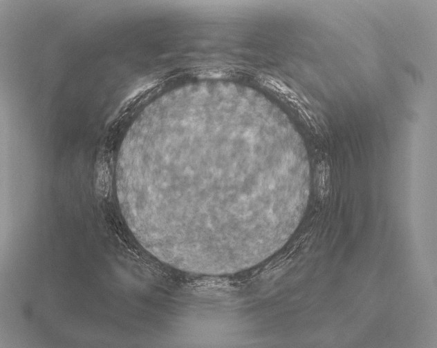 X0000115401446200912151511