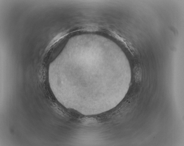 X0000115401448200912151511