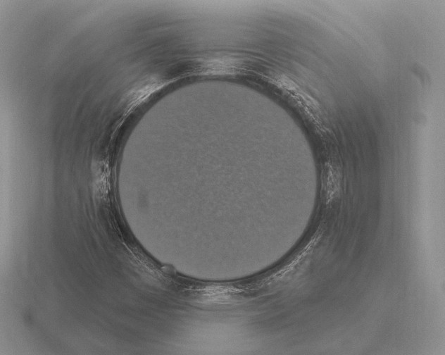 X0000115401449200912151511