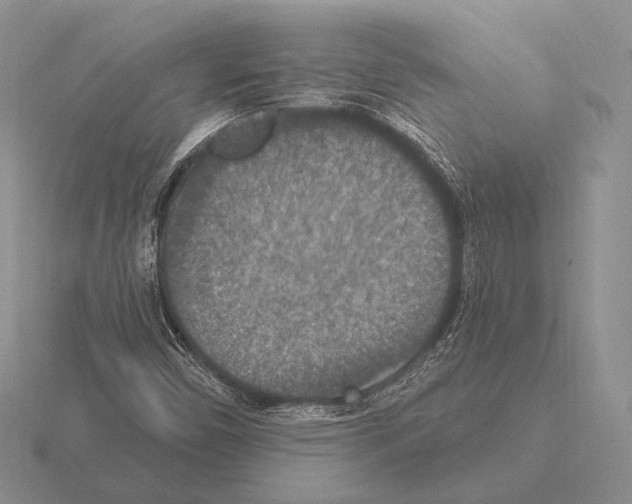 X0000115401450200912151511