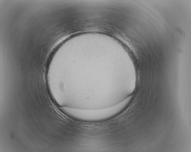 X0000115401452200912151511