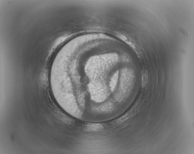 X0000115401454200912151511