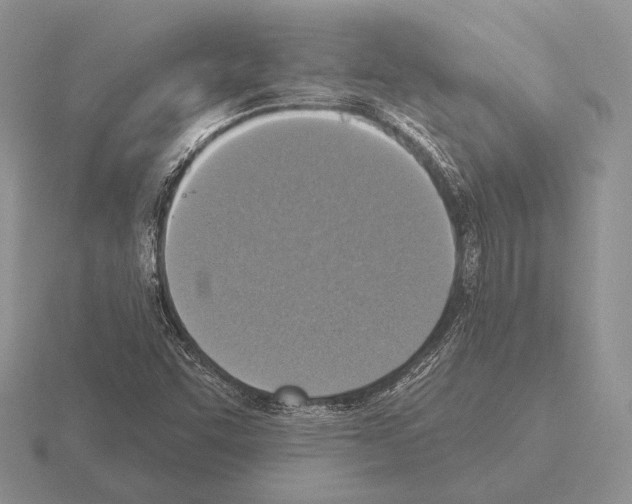 X0000115401455200912151511