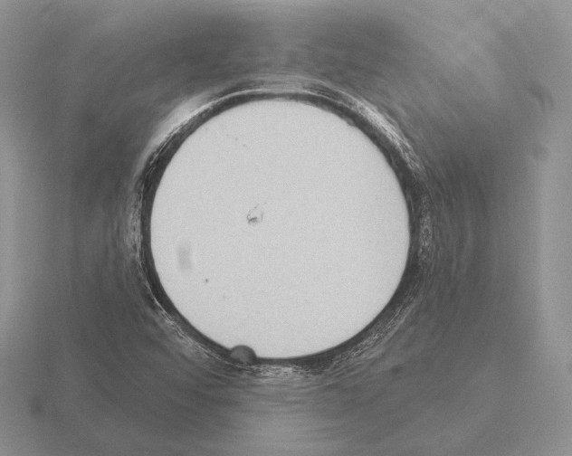 X0000115401456200912151511