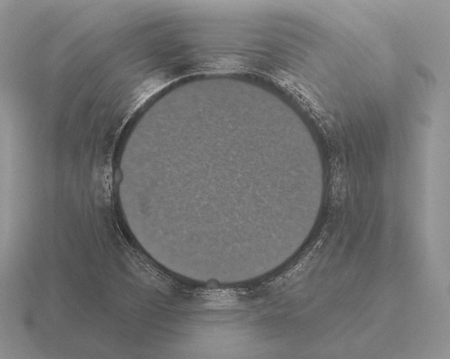 X0000115401457200912151511