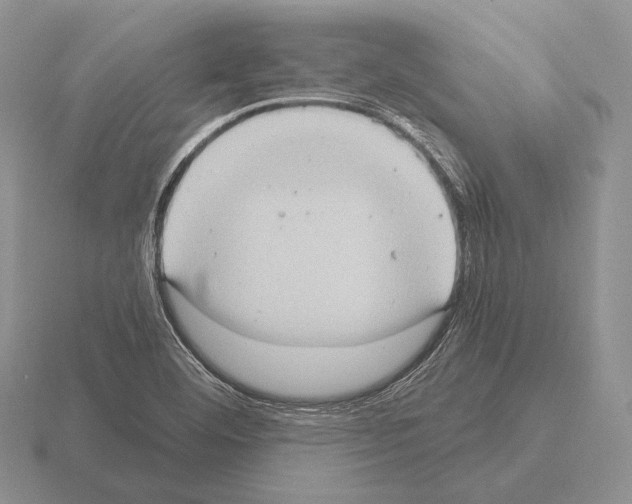 X0000115401460200912151511