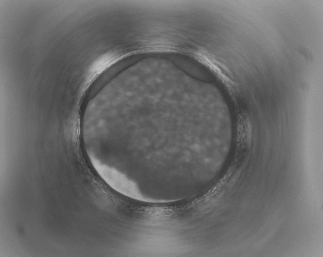 X0000115401461200912151511