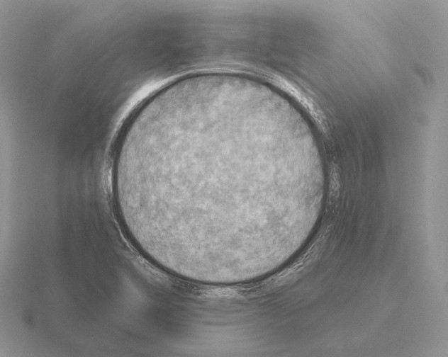 X0000115401462200912151511