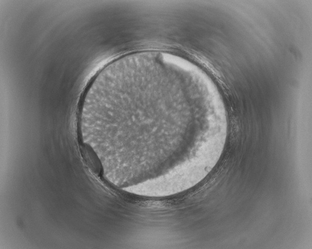 X0000115401463200912151511