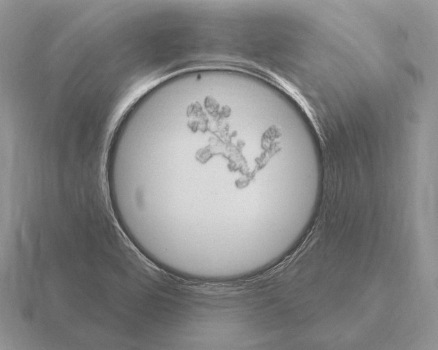 X0000115401464200912151511