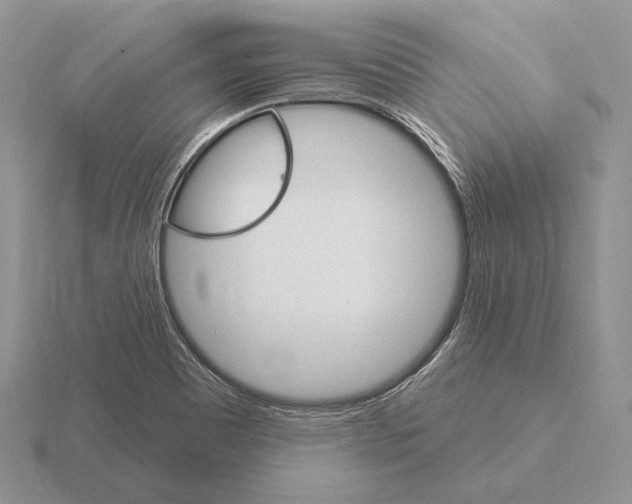 X0000115401465200912151511