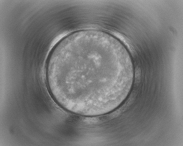 X0000115401466200912151511