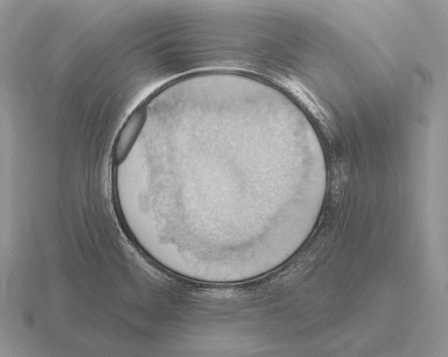 X0000115401468200912151511