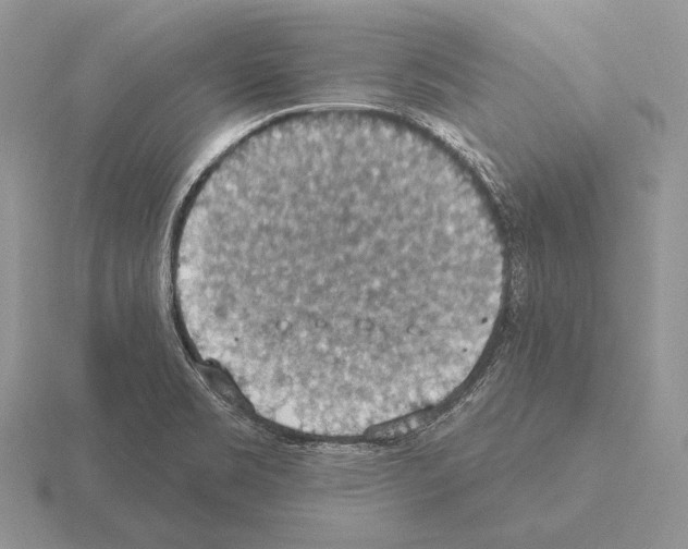 X0000115401469200912151511