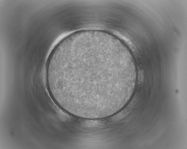 X0000115401470200912151511