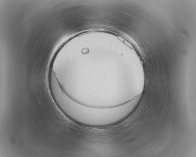 X0000115401472200912151511