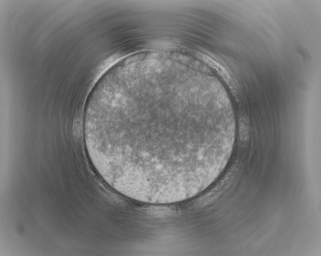 X0000115401473200912151511