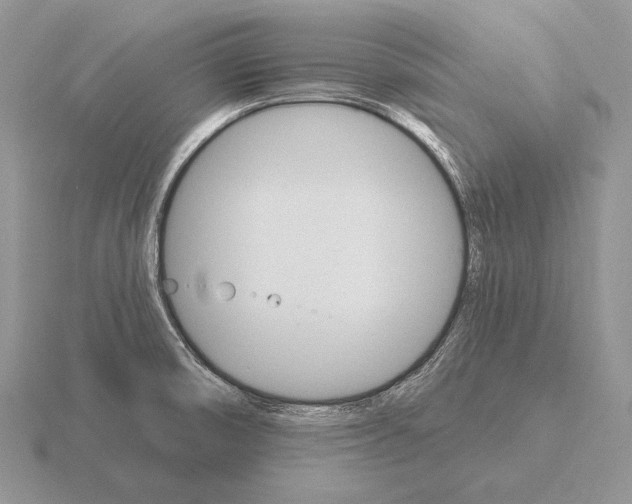 X0000115401474200912151511