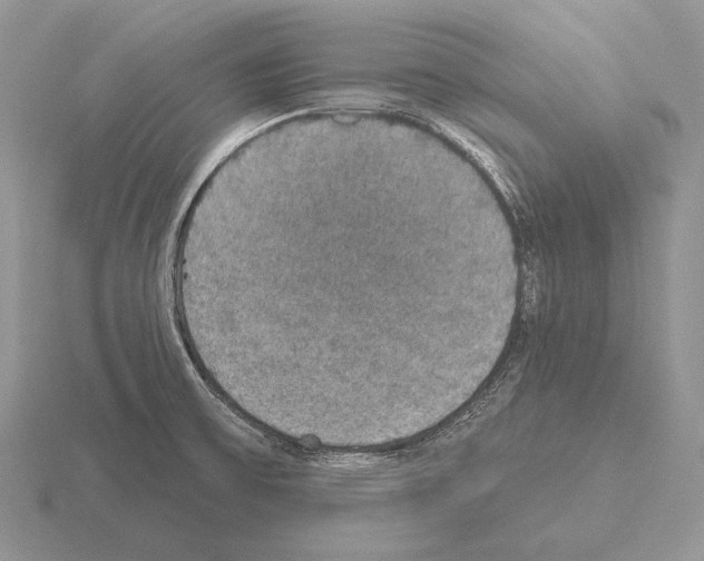 X0000115401475200912151511