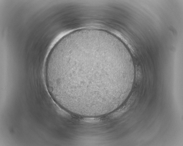 X0000115401478200912151511