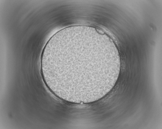 X0000115401479200912151511