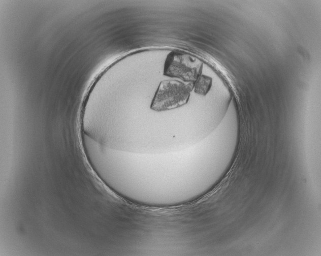 X0000115401480200912151511