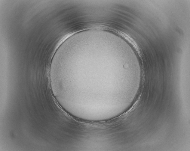 X0000115401481200912151511