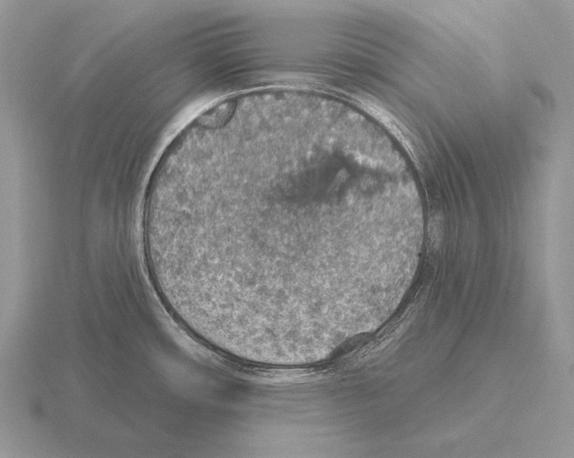 X0000115401482200912151510