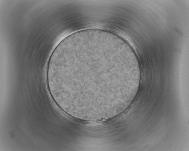 X0000115401483200912151510