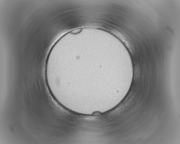 X0000115401484200912151510