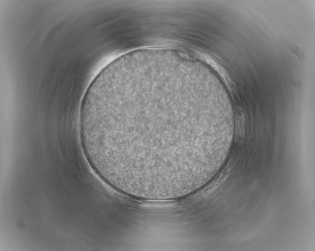 X0000115401487200912151510